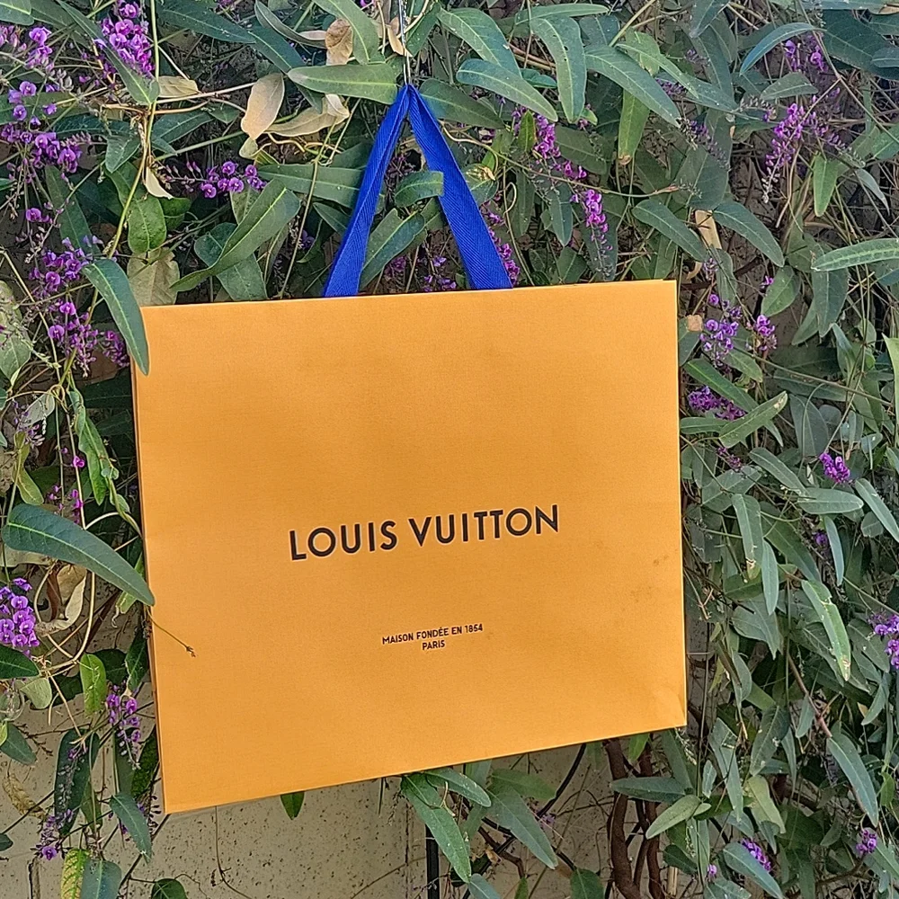 Louis Vuitton Shopping Bag